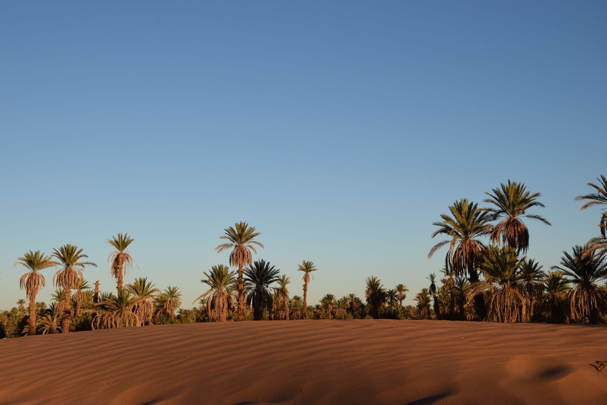 Carrefour Des Nomades Hotel Oulad Driss Екстериор снимка